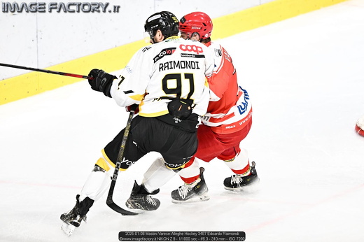 2025-01-06 Mastini Varese-Alleghe Hockey 3487 Edoardo Raimondi